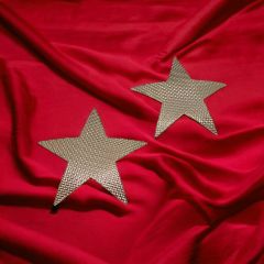 Altın Kaplama '' Yıldız '' Figürlü Küpe